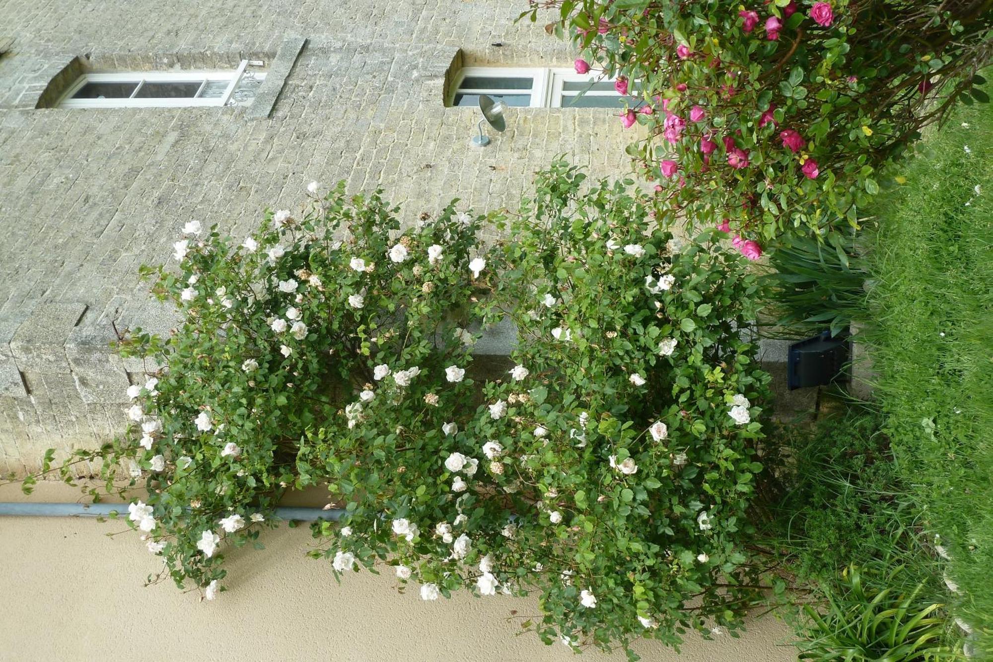 B&B L'Atelier Du Presbytere Saint-Maugan Εξωτερικό φωτογραφία